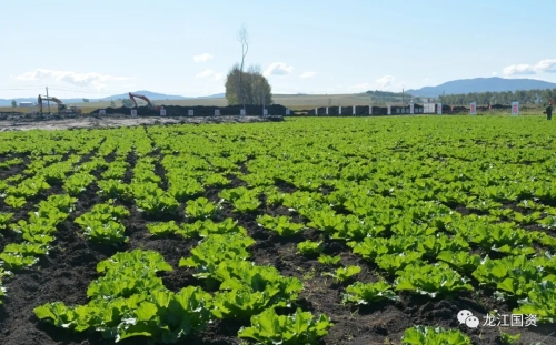 ΢��ͼƬ_20220921075911