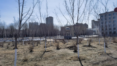 ������֡�(�й���)���޹�˾����