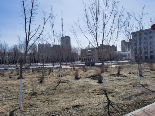 ΢��ͼƬ_20240402192036