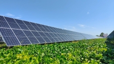 ������֡�(�й���)���޹�˾����